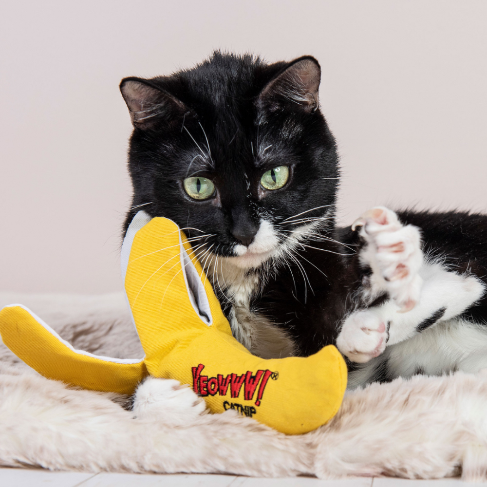 【Yeowww!】美國進口剝皮香蕉貓草玩具 (響紙升級版) 100%有機葉填充/無棉花/超耐咬/貓咪踢踢包-細節圖5