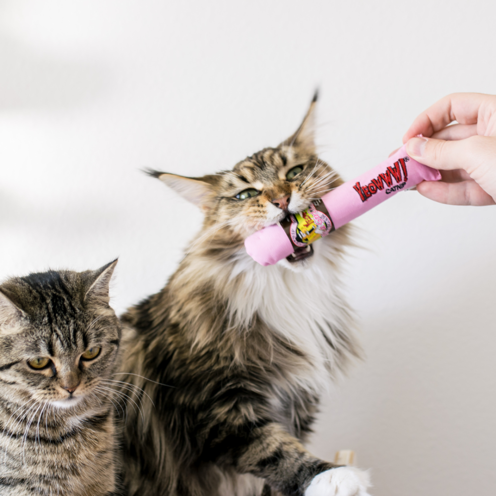 Yeowww! 100%有機貓草棒【無棉花填充】美國製耐咬踢踢包 貓薄荷玩具 潔牙舒壓 寵物玩具-細節圖6