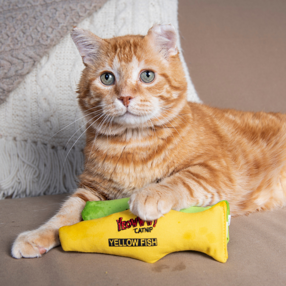 Yeowww! 美國貓草大王【100%有機貓草魚】綠魚/黃魚 7吋大尺寸 貓草玩具 踢踢包 紓壓 耐咬 無棉花填充-細節圖2