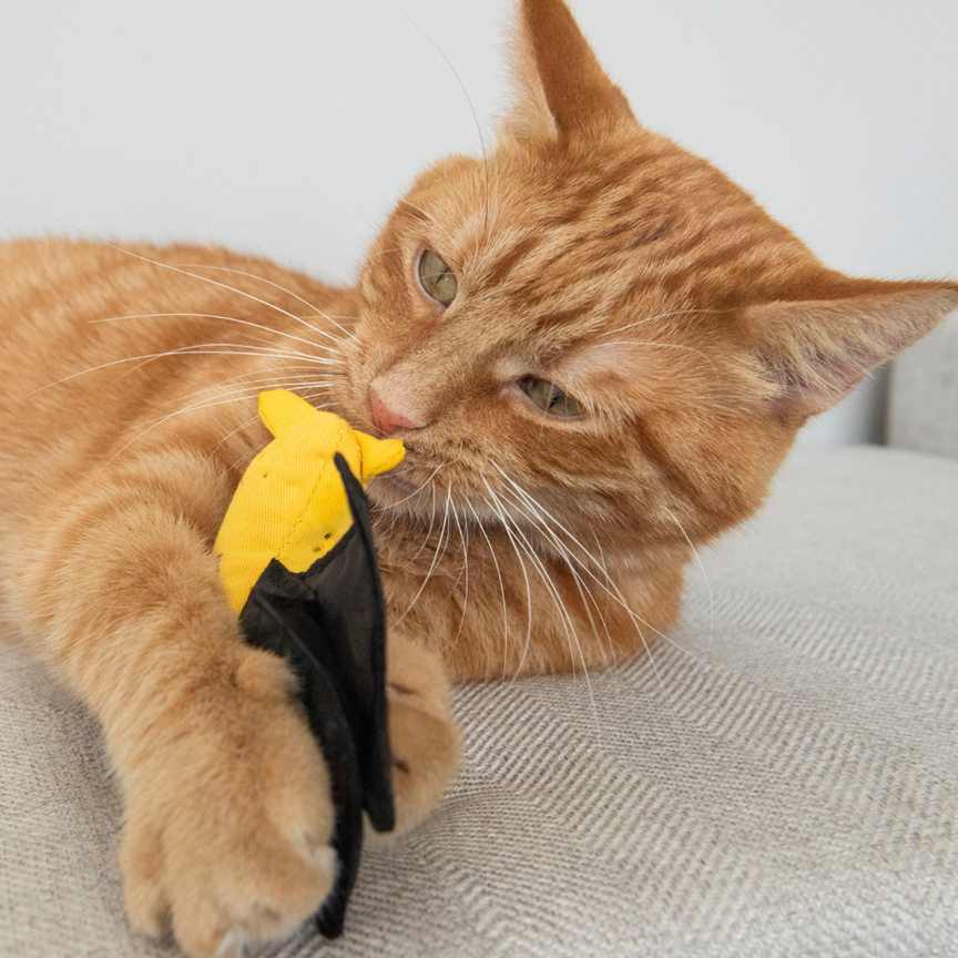 Yeowww 100%有機貓草玩具 蝙蝠 Cat Bat【響紙翅膀+超濃郁】耐咬貓抱枕 紓壓 貓咪玩具 寵物玩具-細節圖3