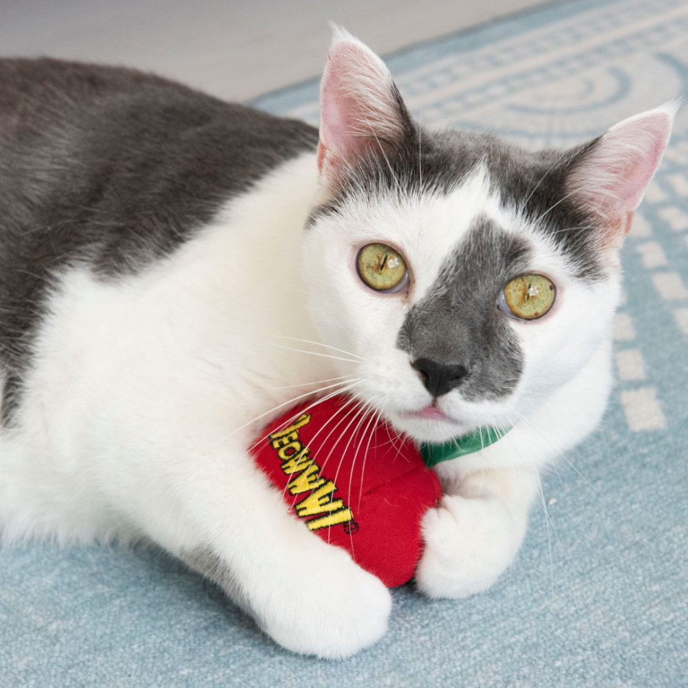 【Yeowww!】美國100%有機貓草蘋果 只有貓草不含棉花 耐咬帆布+響紙葉片 貓咪紓壓 寵物玩具 貓草包-細節圖3