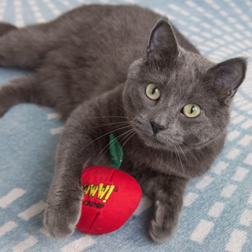 【Yeowww!】美國100%有機貓草蘋果 只有貓草不含棉花 耐咬帆布+響紙葉片 貓咪紓壓 寵物玩具 貓草包-細節圖4