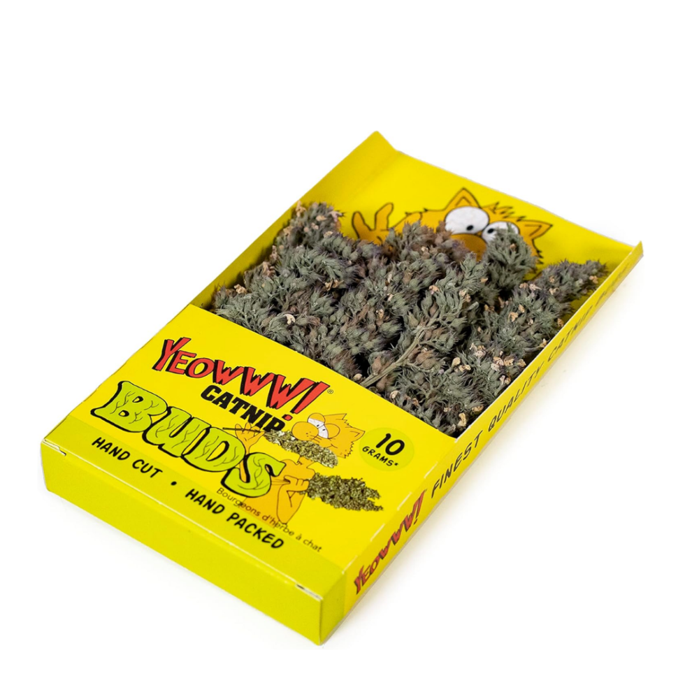 Yeowww! 頂級天然貓草花苞 10g 美國原裝 手工採摘最濃郁部位 貓薄荷花蕾 貓草束 舒壓轉圈圈-細節圖2