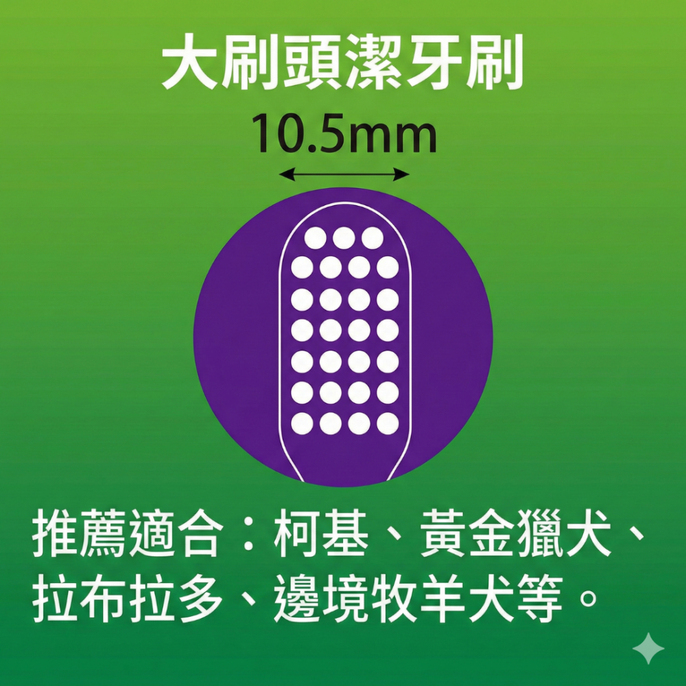 【日本LION獅王】PETKISS 0.02mm極細毛寵物牙刷 獸醫共同開發 軟毛 貓咪/狗狗專用 潔牙 牙周護理 日本-細節圖5