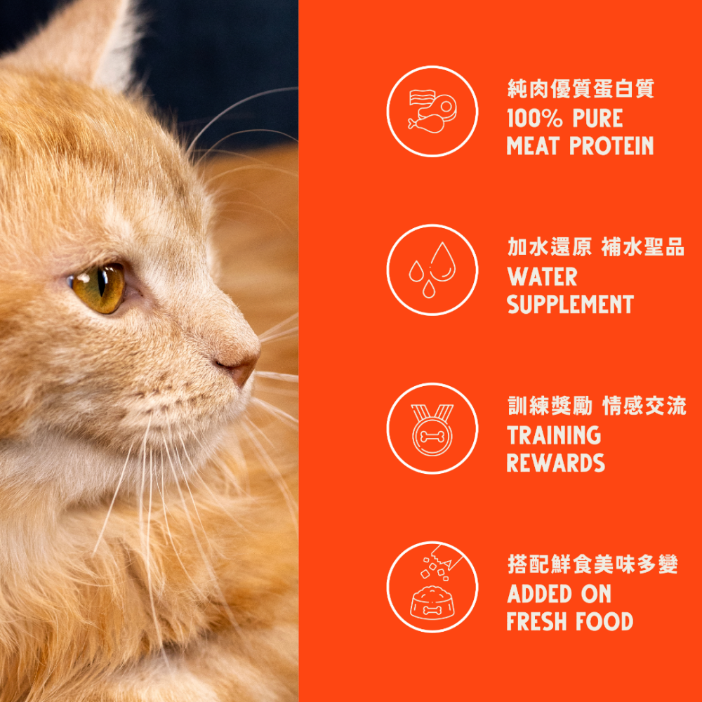 【Bad Cat牠喵的】COOK熟食凍乾 100%原肉 貓狗零食 挑嘴剋星 補水神器 寵物零食 雞肉/牛肉/干貝/蝦仁-細節圖3