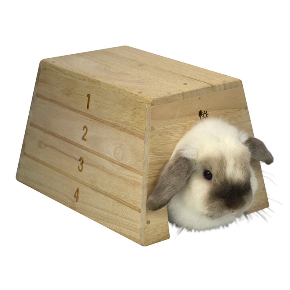 SANKO 日本【跳箱屋 L號】趣味躲避屋 隧道玩具 實木安全材質 兔窩 天竺鼠 刺蝟 適合大體型 H192-細節圖2