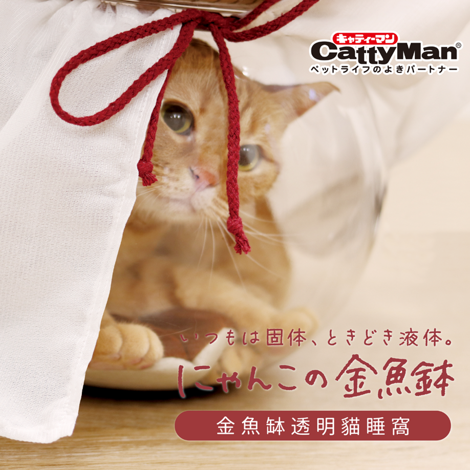 【CattyMan】透明金魚缽貓窩｜360度視角🔥貓咪變液體 金魚缸造型 附雙面墊+遮光簾 療癒肉球看光光 四季通用-細節圖2