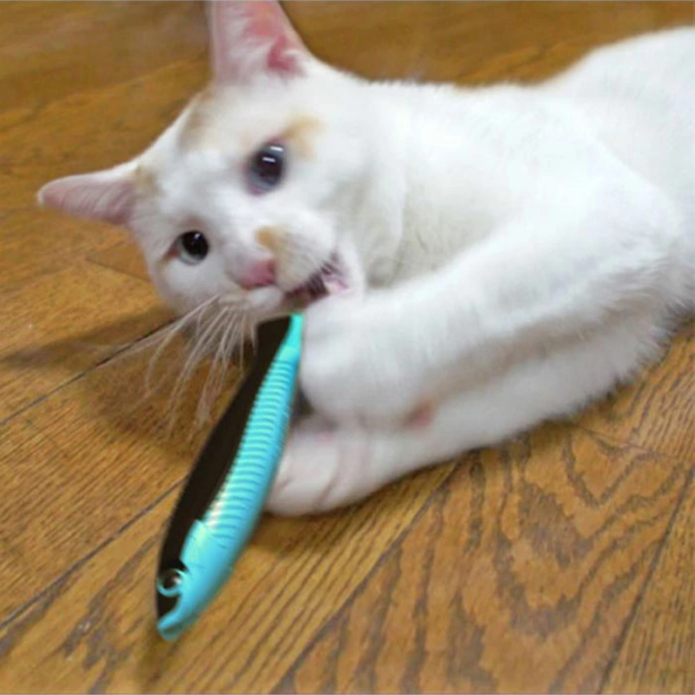 【CattyMan】日本極樂木天蓼魚 湖水藍 12cm 獨家技術香氣入魂 耐咬潔牙 貓玩具 紓壓 逗貓 寵物玩具 日本-細節圖3