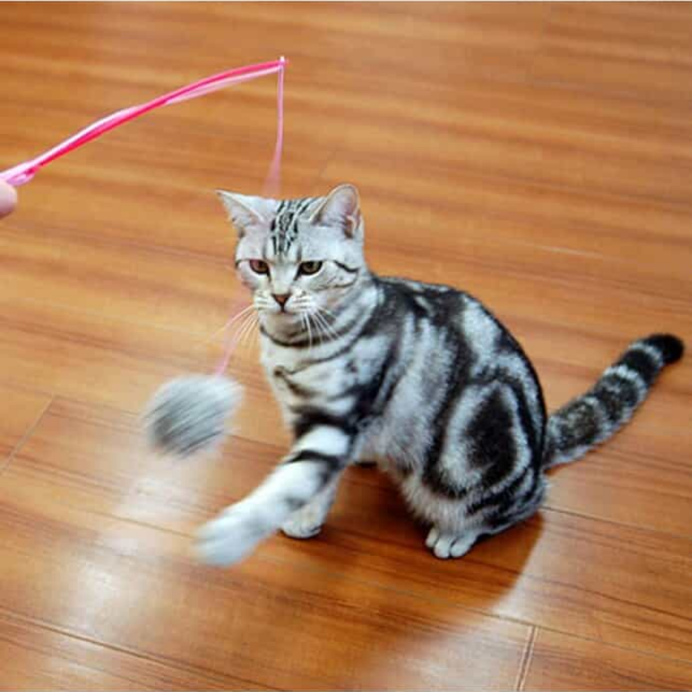 【CattyMan】天然兔毛靈動毛球逗貓棒 日本熱銷 真毛質感 釣竿逗貓棒 彈力繩 仿真獵物 激發狩獵本能 貓玩具-細節圖4