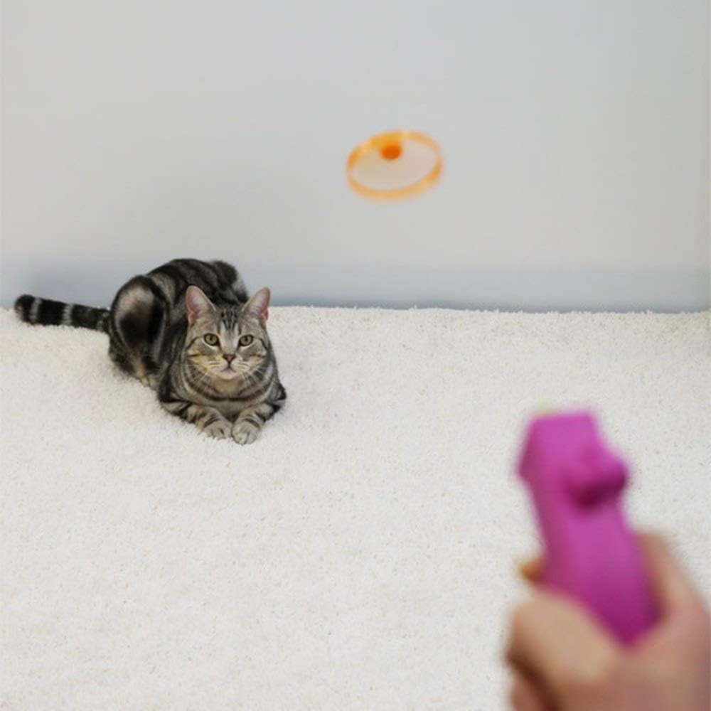 【日本CattyMan】飛天竹蜻蜓 兩用玩法 旋轉飛盤 逗貓神器 增加運動量 舒壓 附5枚螺旋槳 貓玩具 寵物用品-細節圖6