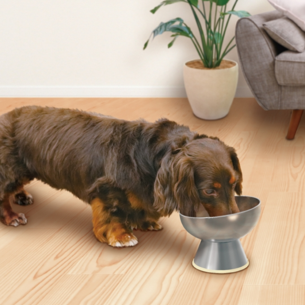 【DoggyMan】日本多格漫 不鏽鋼高腳防滑餐碗 護頸碗 狗碗 寵物碗 高腳碗 飼料碗 水碗 (S/M號)-細節圖5