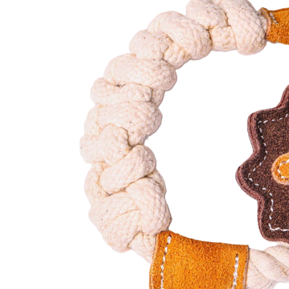 【DoggyMan】天然牛革潔牙玩具 狗狗耐咬棉繩 幼犬磨牙 寵物互動拔河玩具 獅子/兔子/公雞-細節圖8