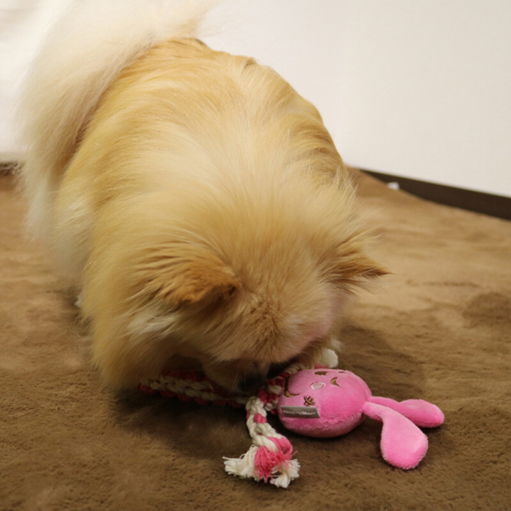 DoggyMan 狗狗棉繩潔牙玩具【發聲耐咬推薦】寵物發聲玩具 幼犬磨牙 狗玩具 潔牙繩 狗咬繩 黃虎 粉兔-細節圖4