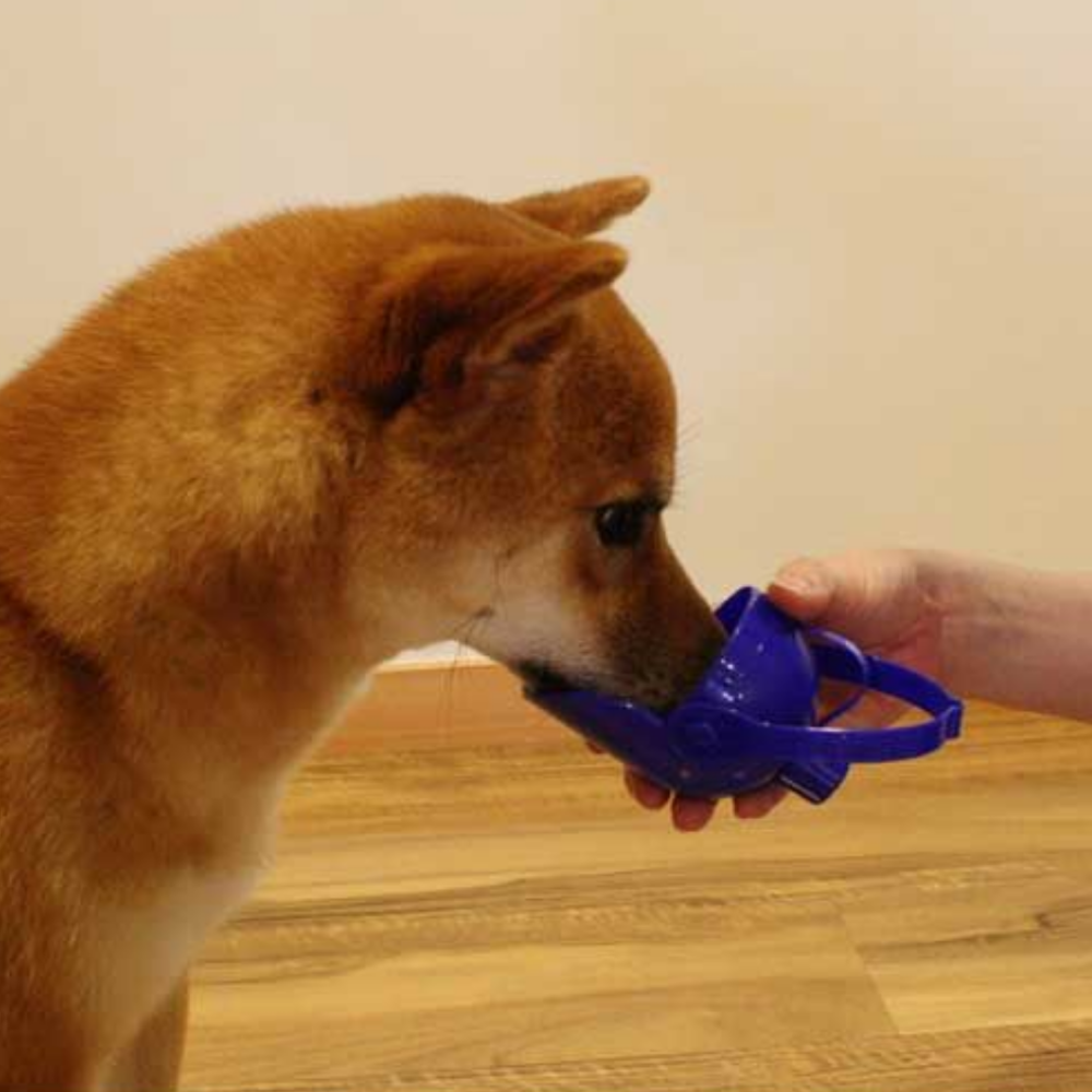 DoggyMan 寵物外出便利水壺頭 喝水沖洗兩用寶特瓶蓋 附提把 狗狗散步必備 貓咪飲水杯 禮貌清洗器 日本製造-細節圖4