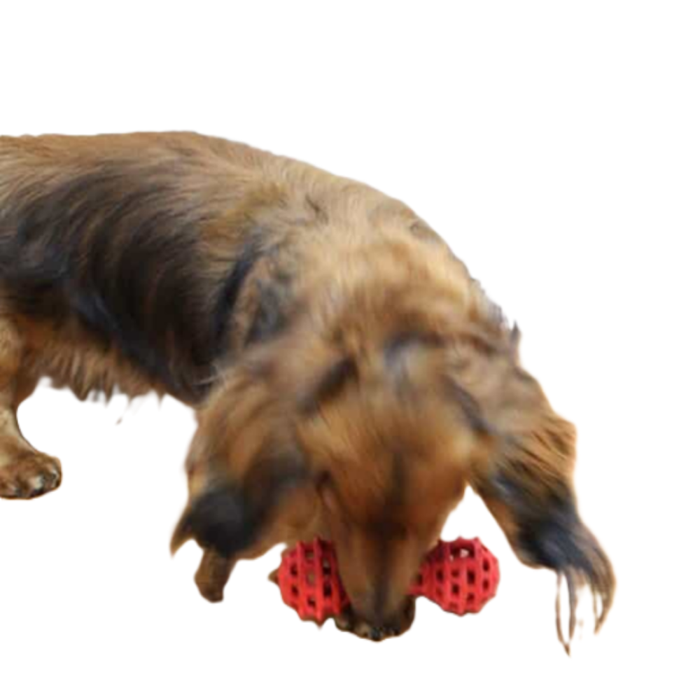 DoggyMan 益智漏食網狀橡膠玩具 【藏食解悶/潔牙舒壓】 狗狗啃咬玩具 寵物互動玩具 狗益智玩具 橡膠球 橄欖球-細節圖4