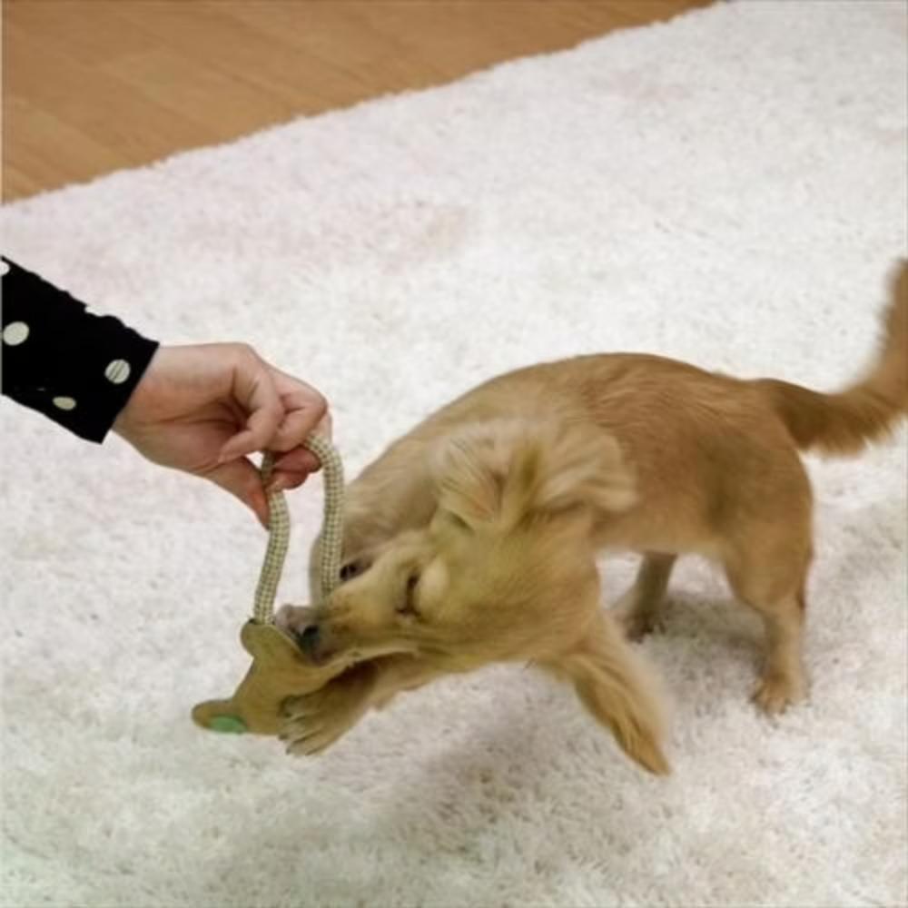 DoggyMan 犬用牛革拉扯玩具 骨頭造型｜激發狩獵本能 天然牛革＋棉麻繩 磨牙解悶 雙重口感 狗狗互動玩具-細節圖2