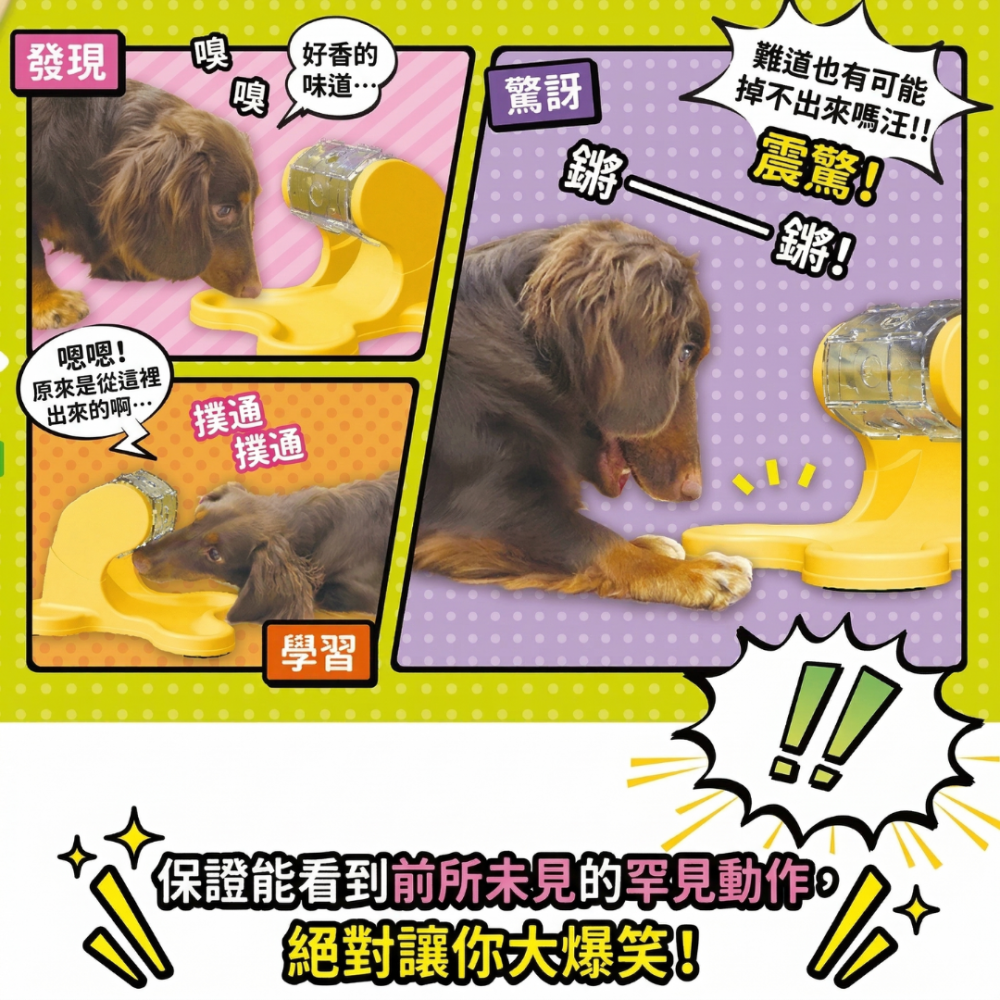 DoggyMan 寵物滾輪漏食玩具 益智餵食器 慢食碗 轉轉漏食機 防狼吞虎嚥 貓狗打發時間 藏食玩具 CattyMan-細節圖4