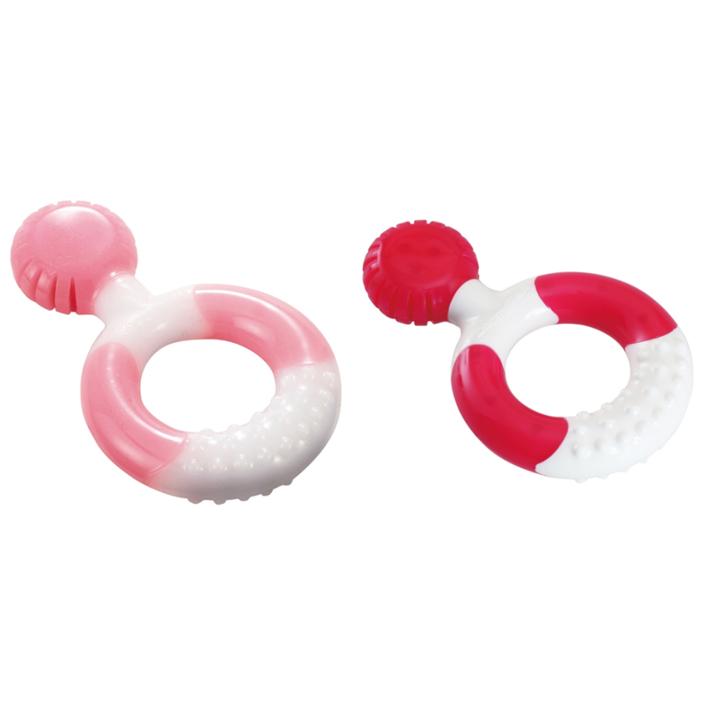 DoggyMan 咬咬果香安全潔齒玩具 圓環與潔牙刷造型 雙重硬度獸醫推薦 狗狗磨牙啃咬玩具 寵物潔齒圈-細節圖4