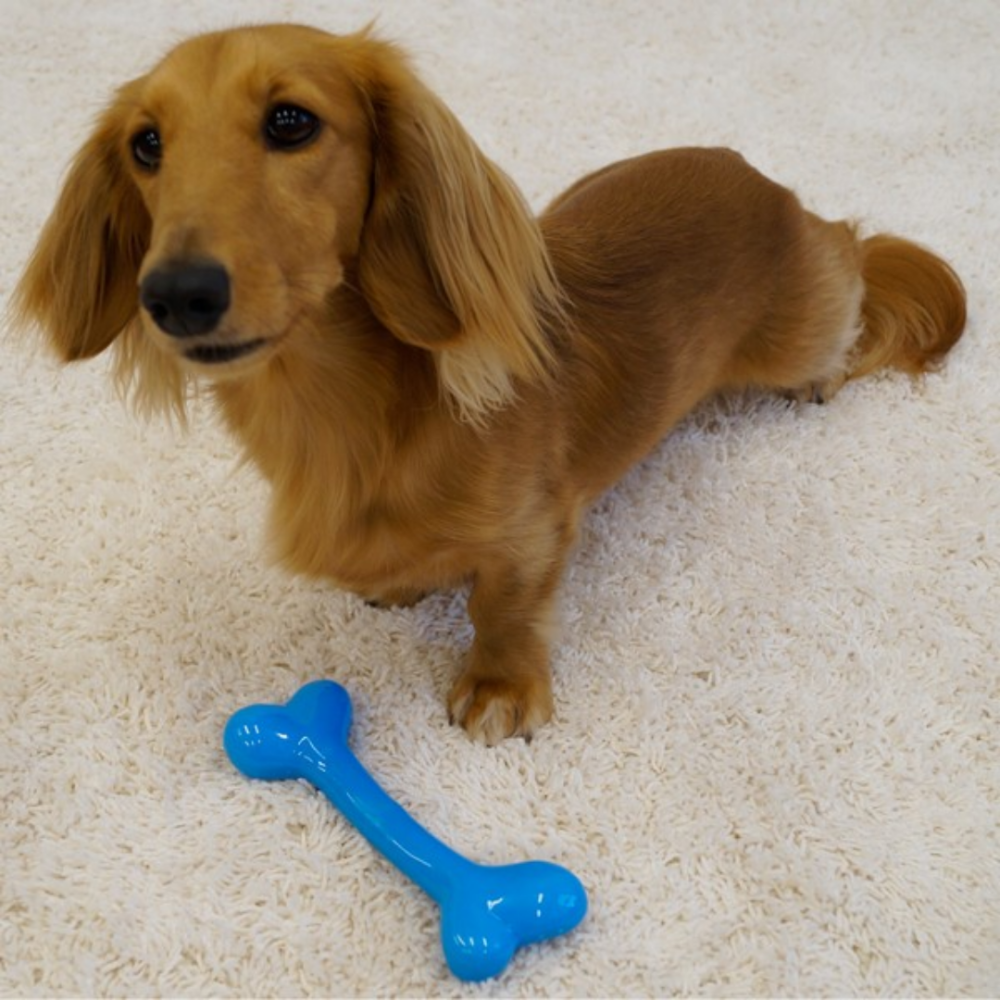 DoggyMan STRONG BONE 柔韌咬咬玩具骨 高彈力TPR耐咬狗玩具 寵物紓壓解悶 啃咬訓練 狗狗發洩玩具-細節圖5