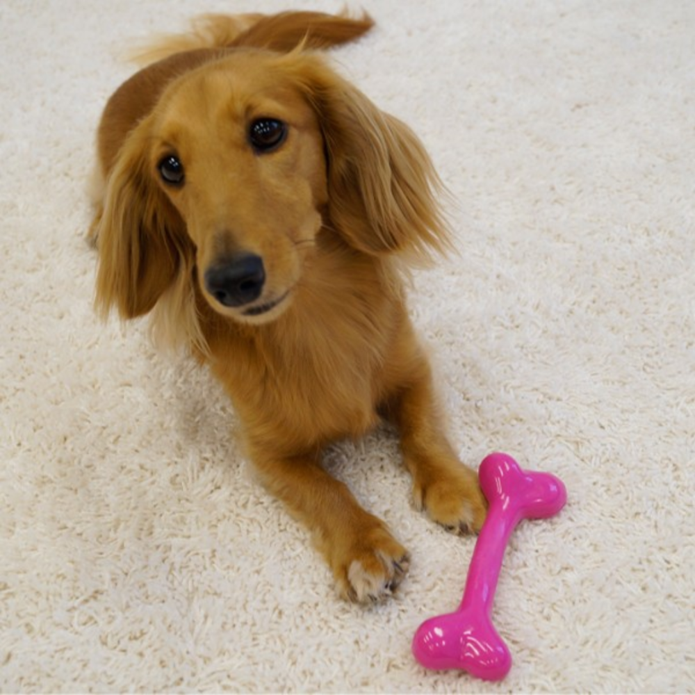 DoggyMan STRONG BONE 柔韌咬咬玩具骨 高彈力TPR耐咬狗玩具 寵物紓壓解悶 啃咬訓練 狗狗發洩玩具-細節圖6