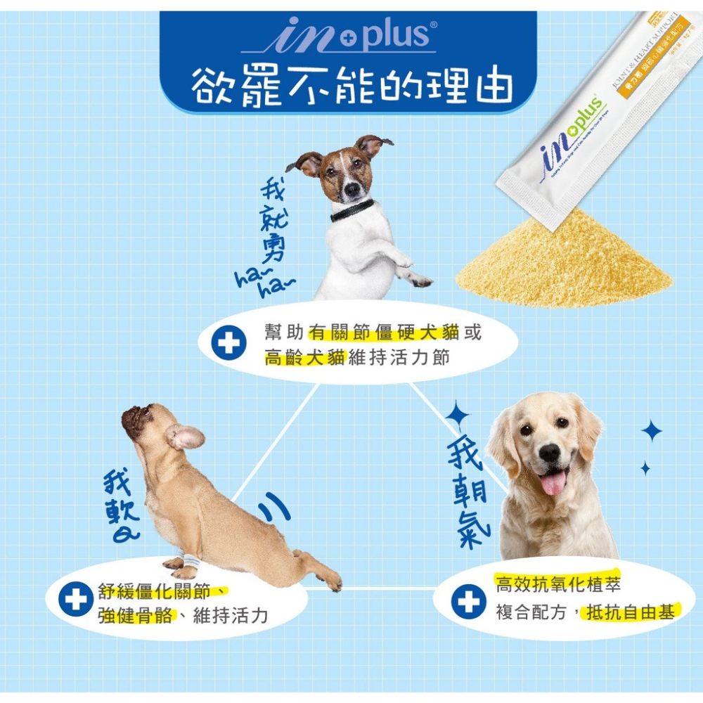 IN-Plus狗保健品 犬用保健 單條入賣場 腸益 整腸 關節 益生菌 IN+PLUS-細節圖4