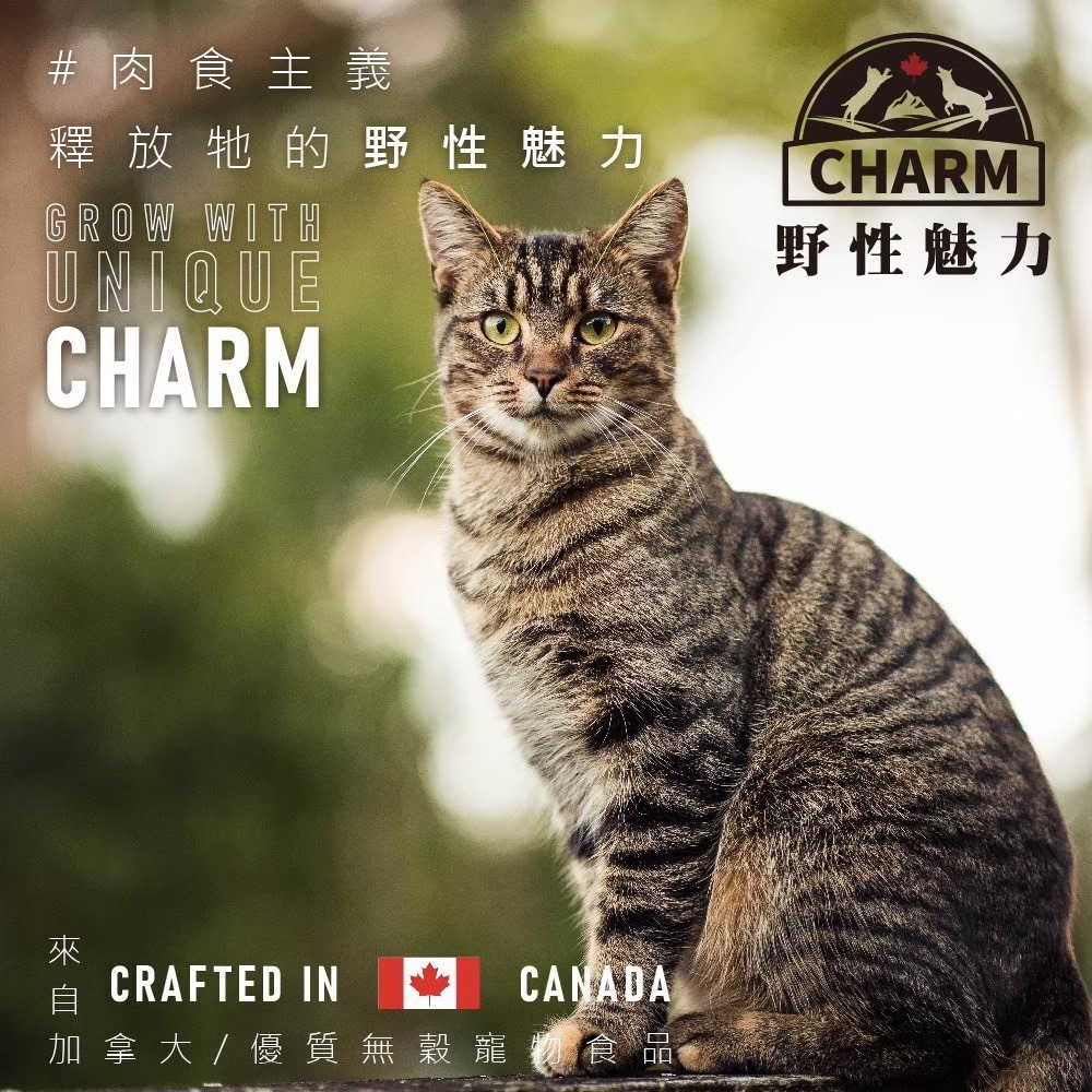 野性魅力 CHARM 貓飼料 340g 無穀貓飼料 幼貓 成貓 海陸龍蝦 挑嘴貓-細節圖3