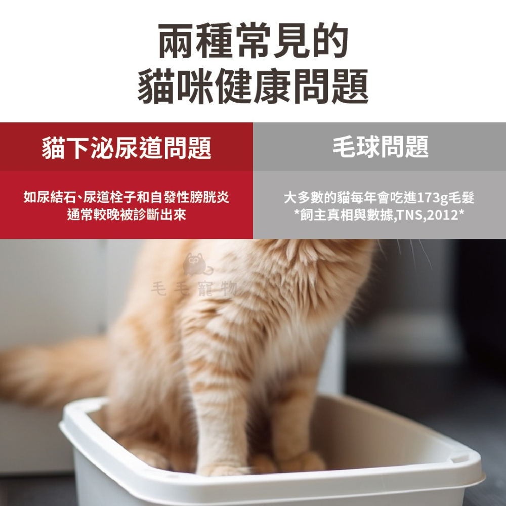 Hills 希爾思 貓飼料 化毛 寵物飼料 貓咪飼料 貓糧 成貓 毛球控制 雞肉配方 貓乾乾 貓乾糧-細節圖4