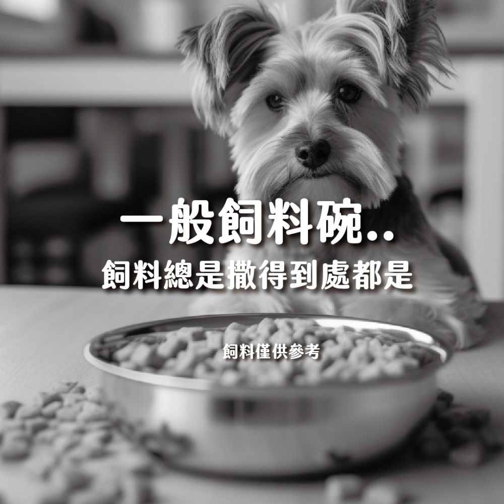 雙碗斜口寵物碗 餵食碗 水碗 寵物碗 雙碗設計 可拆卸 食碗 貓碗 犬碗 護頸碗 斜口碗 防溢碗-細節圖3