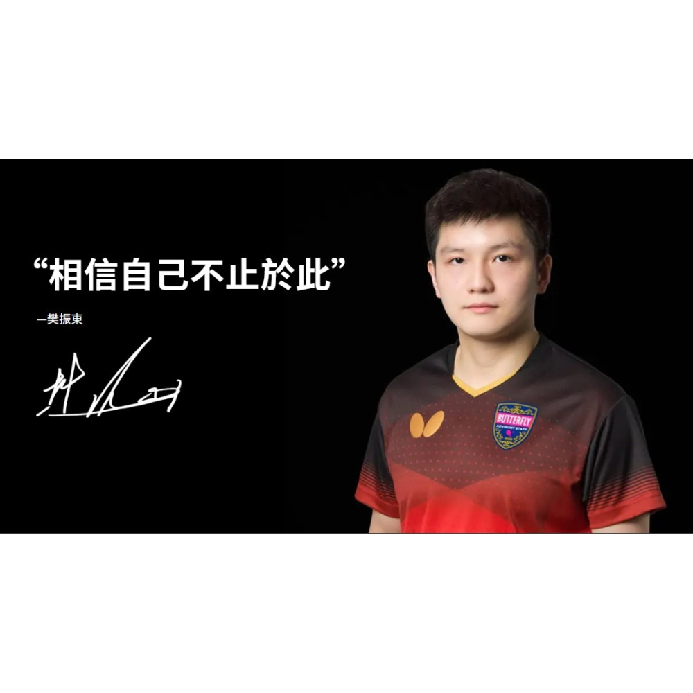 力揚乒乓-蝴蝶超級樊振東 FZD - Super ALC 底板-細節圖4