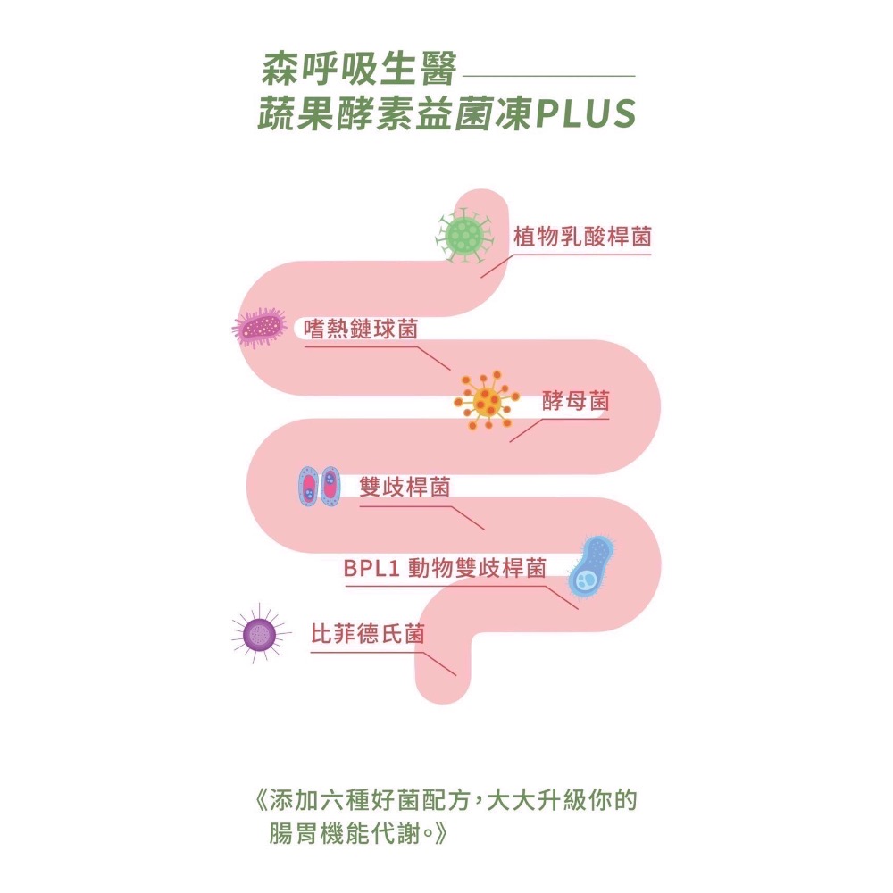 蔬果酵素益菌凍PULS-細節圖3