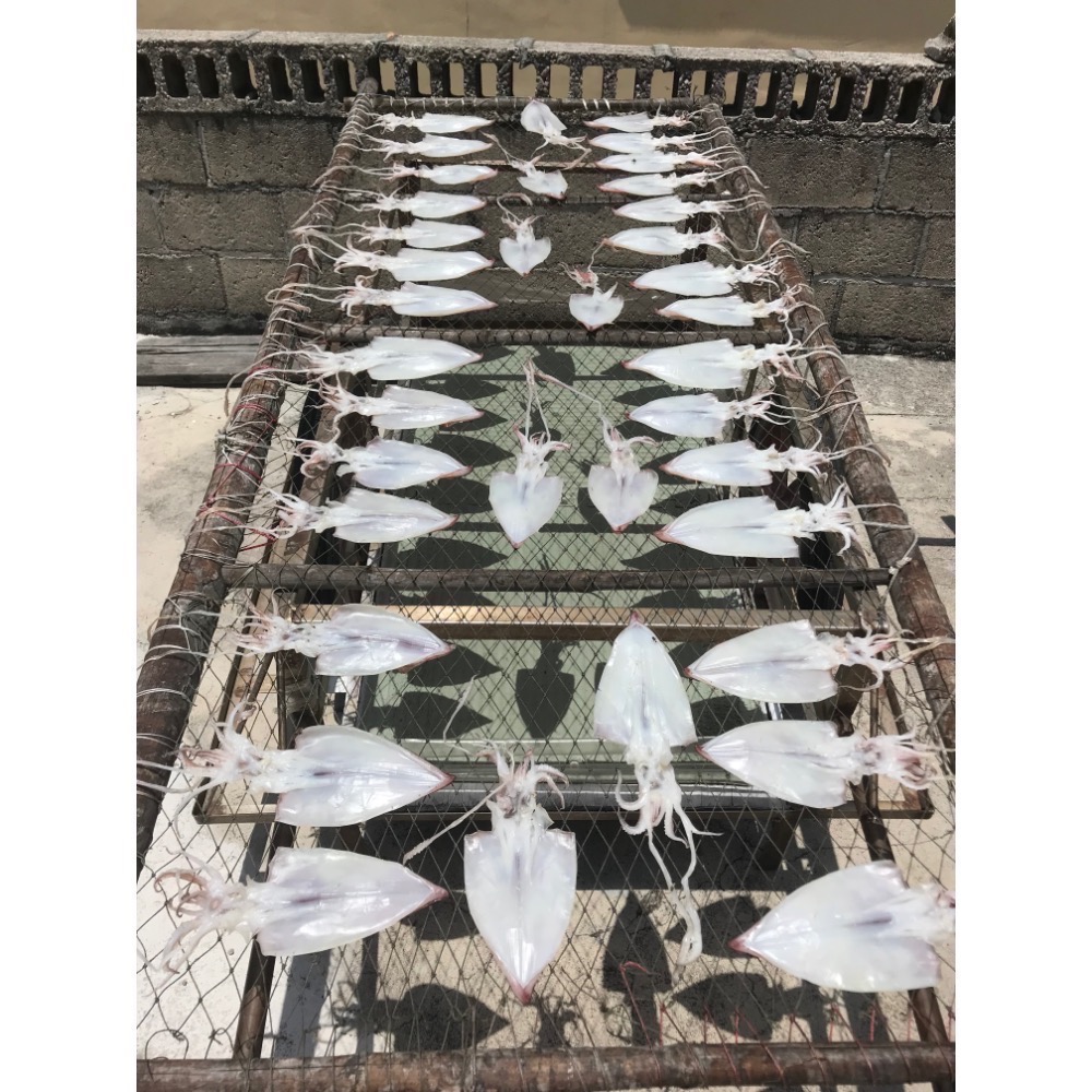 澎湖小卷 半日曬 一斤裝約6-7隻-細節圖2