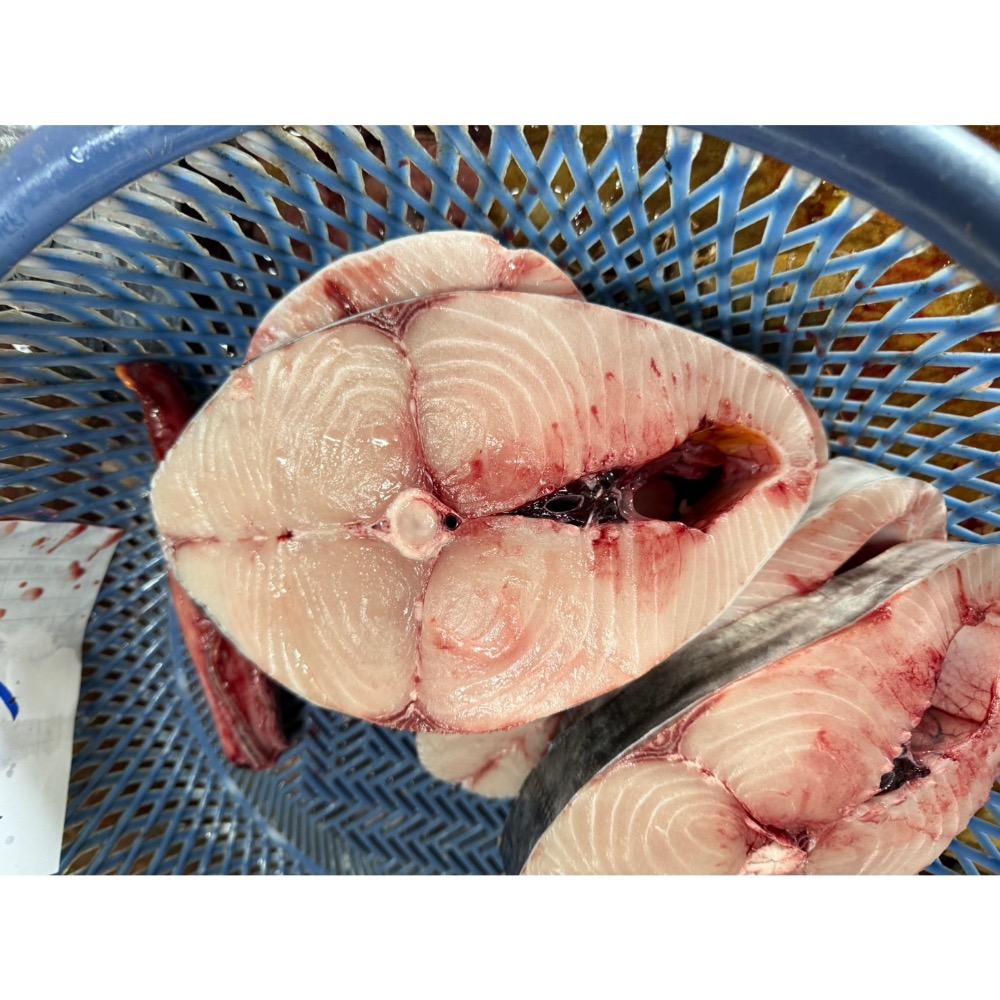 澎湖手釣土魠魚-細節圖3