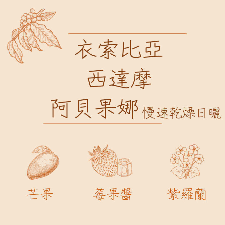 衣索比亞新豆優惠區-細節圖2