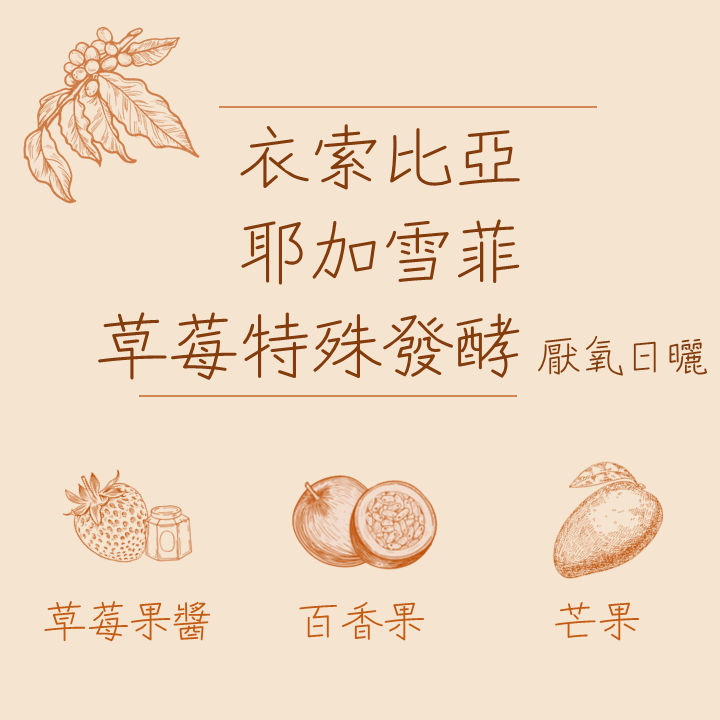 衣索比亞新豆優惠區-細節圖3