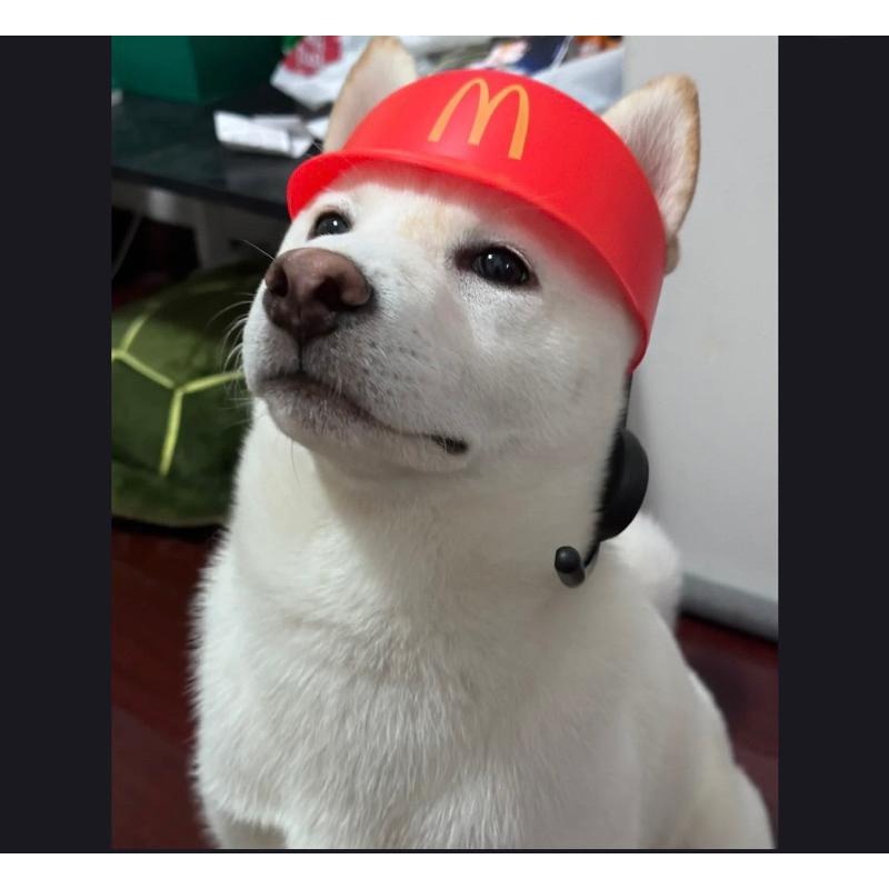 《胖胖ㄉ狗狗》*現貨*麥當勞帽子 寵物用品 裝飾 頭飾 玩具 麥當勞店員 遮陽帽-細節圖3