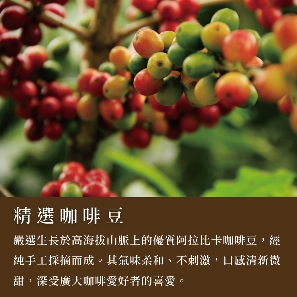 亞發系列 白咖啡 奶茶 黑咖啡 KOPI O-細節圖7
