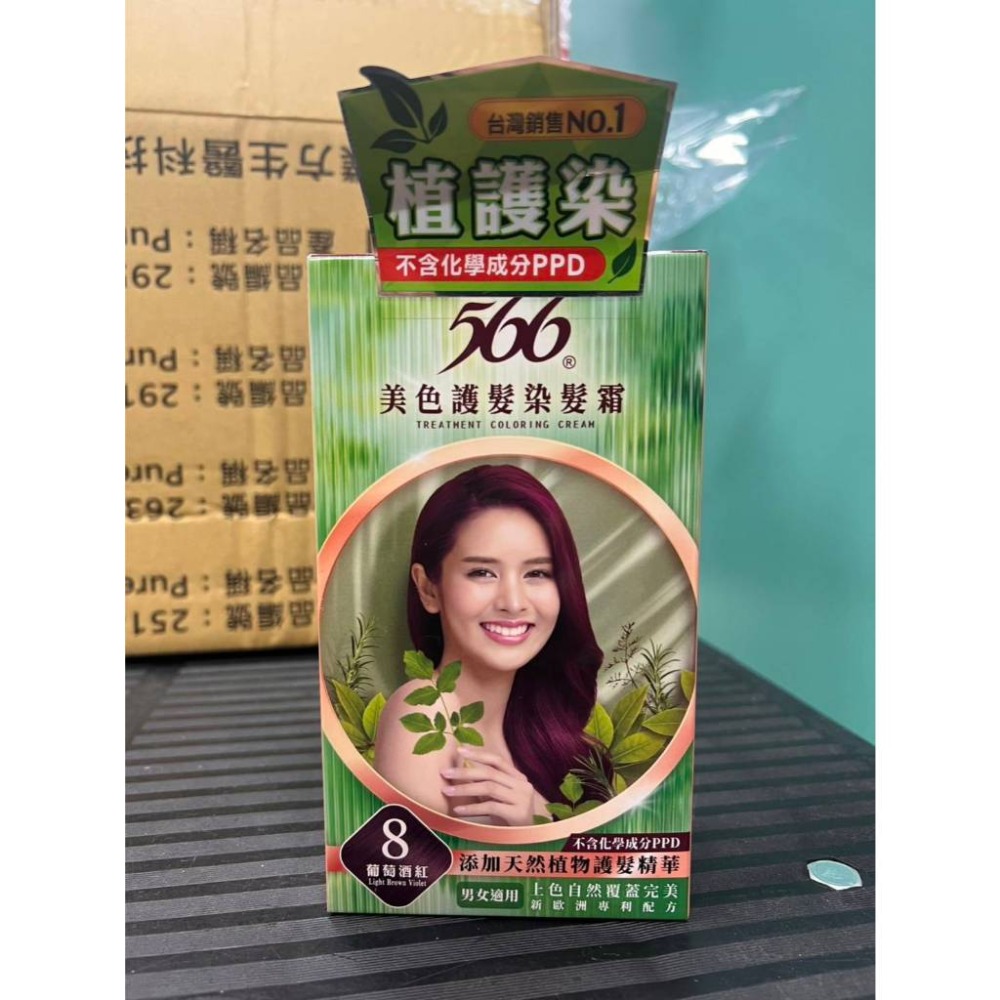 8號(葡萄酒紅)-22067