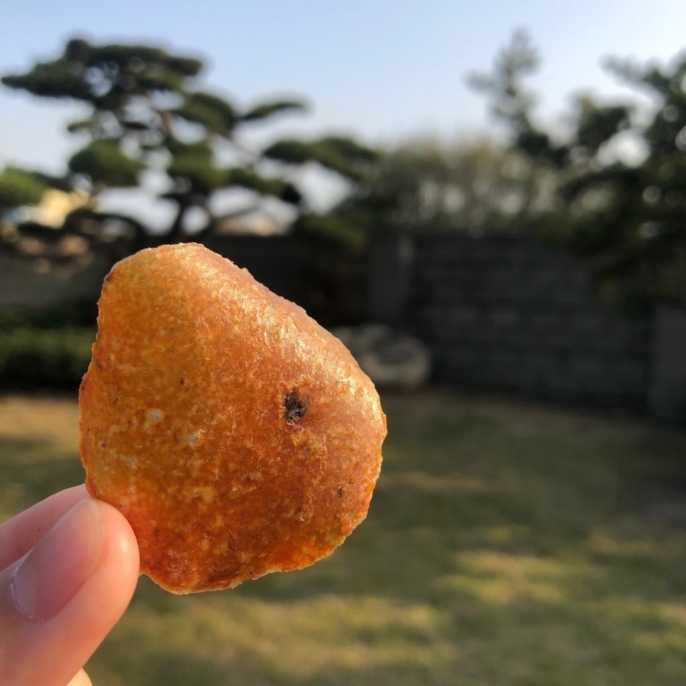 雞肉洋芋片（貓狗可吃）天然寵物洋芋片 寵物零食寵物薯片-細節圖4