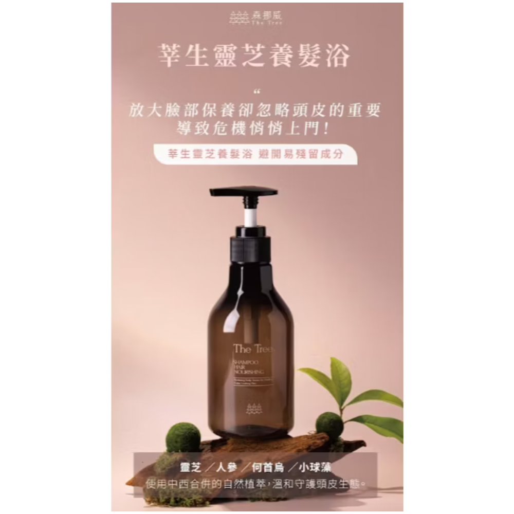 茉本 森挪威｜莘生靈芝養髮 洗髮精  昆凌愛用推薦❤️-細節圖2