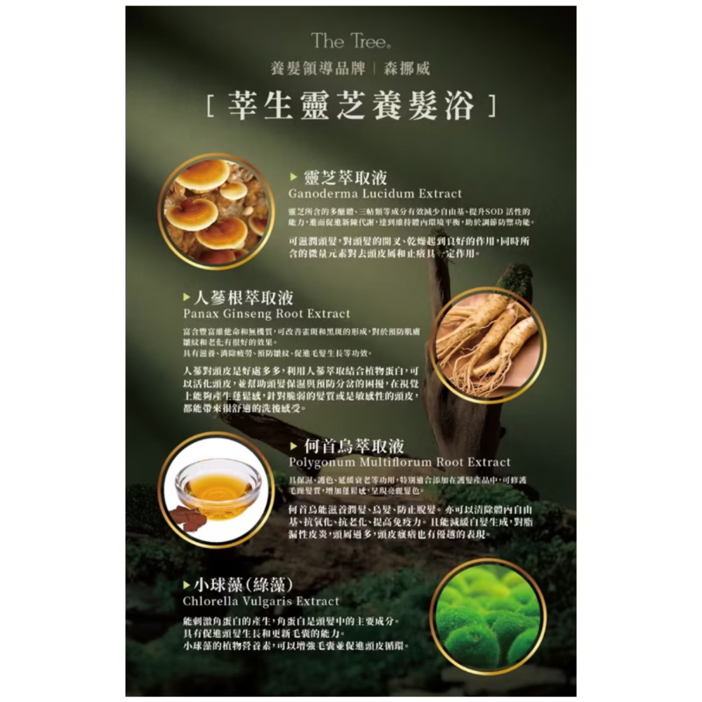 茉本 森挪威｜莘生靈芝養髮 洗髮精  昆凌愛用推薦❤️-細節圖3