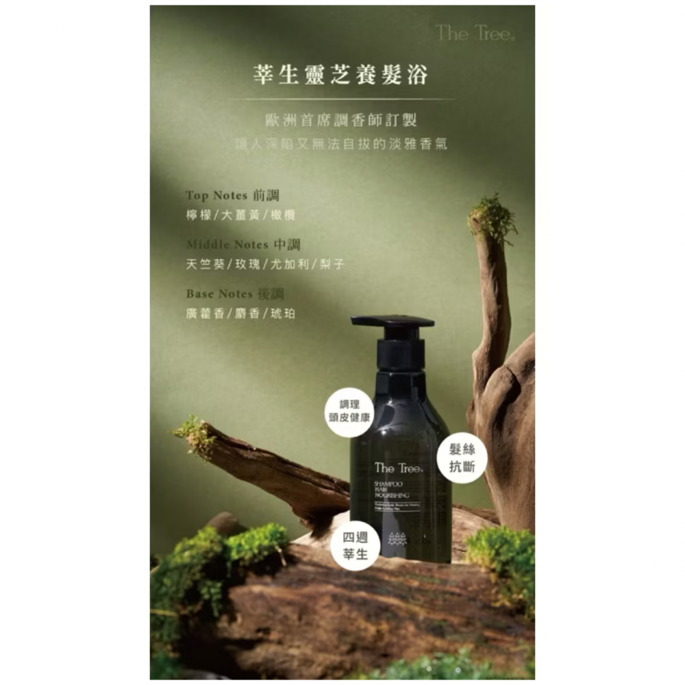 茉本 森挪威｜莘生靈芝養髮 洗髮精  昆凌愛用推薦❤️-細節圖4