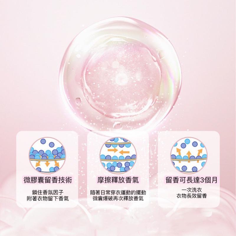 洗衣香香豆 衣物香香豆 香香豆 芳香豆 洗衣豆 香氛豆 洗衣香豆 洗衣芳香豆 衣服芳香豆 留香珠 洗衣球 香芬豆芳香顆粒-細節圖8
