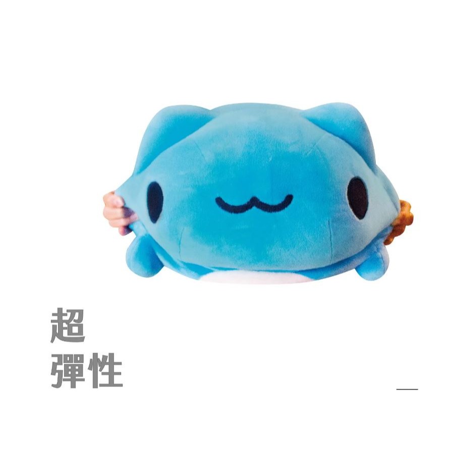 [快速出貨] 貓貓蟲-咖波 貓貓貓蟲 100公分 造型抱枕 數量有限 歡迎下標(一箱只能裝一隻)-細節圖6