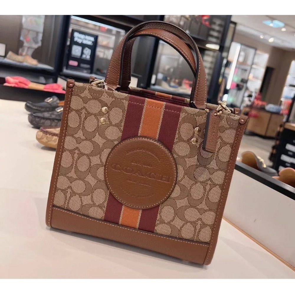Coach紙袋包tote22-細節圖3