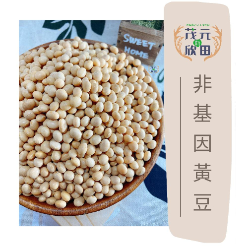 欣田食品 黃豆 非基因黃豆 300g 600g 加拿大黃豆 豆漿 豆花 豆腐 豆製品材料