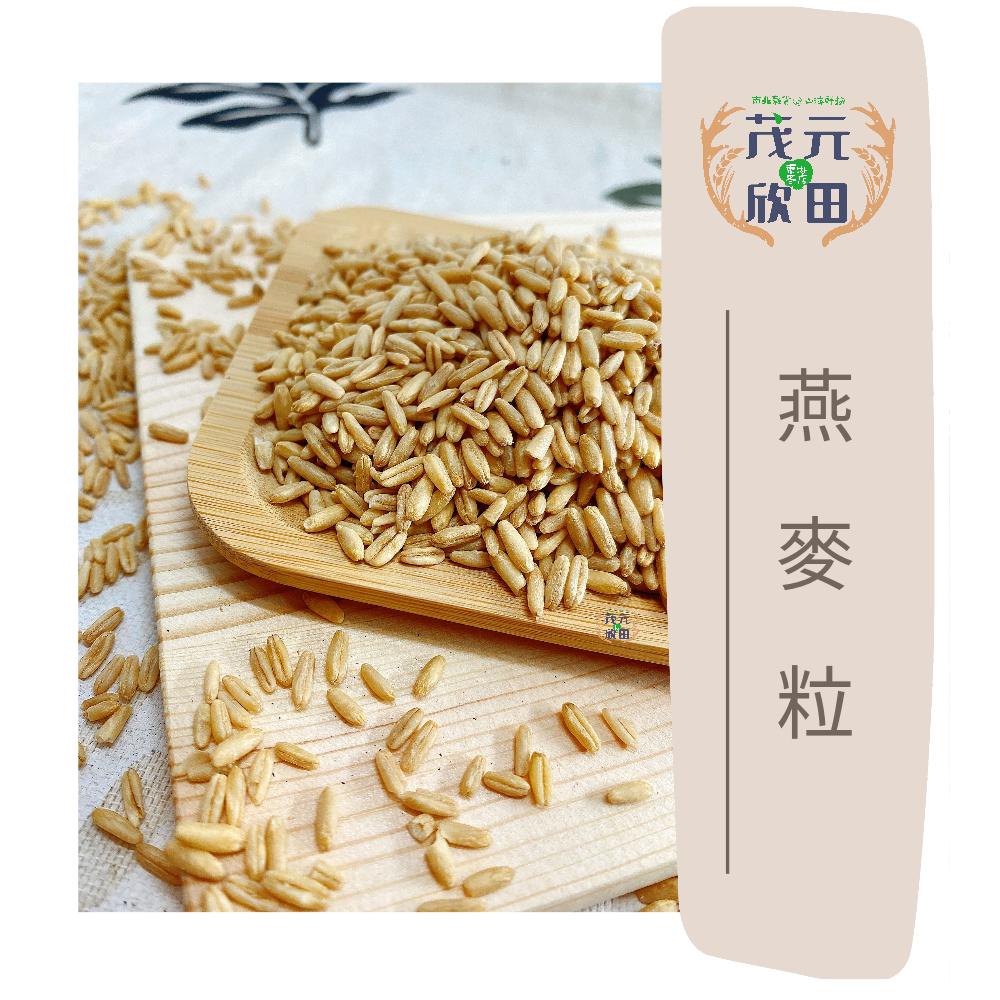 欣田食品 燕麥 燕麥粒 300g 600g-細節圖2