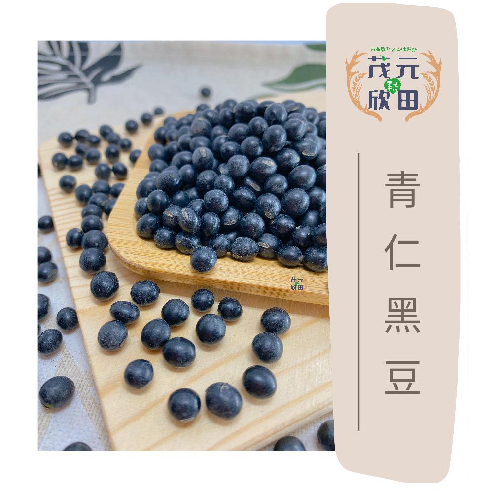 欣田食品 黑豆 青仁黑豆 300g 600g 生青仁黑豆 青仁 生黑豆 黑豆茶材料 蜜黑豆材料-細節圖2