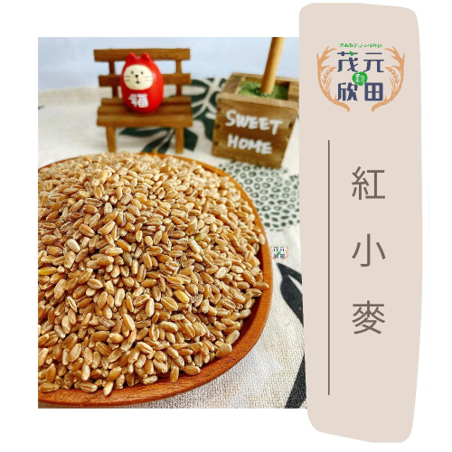 欣田食品 紅小麥 300g 600g 小麥草材料