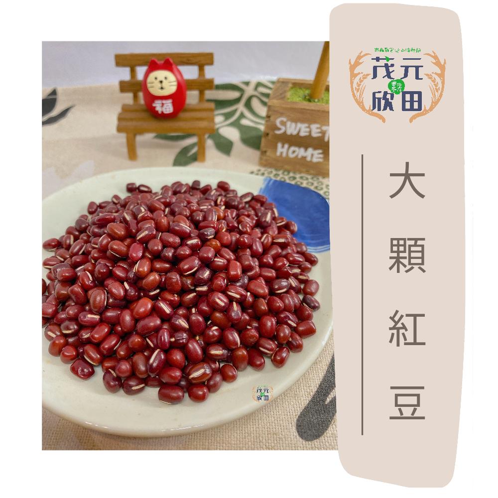 欣田食品 屏東萬丹 牛奶紅豆 大顆紅豆 300g 600g  紅豆湯材料 紅豆紫米-細節圖4