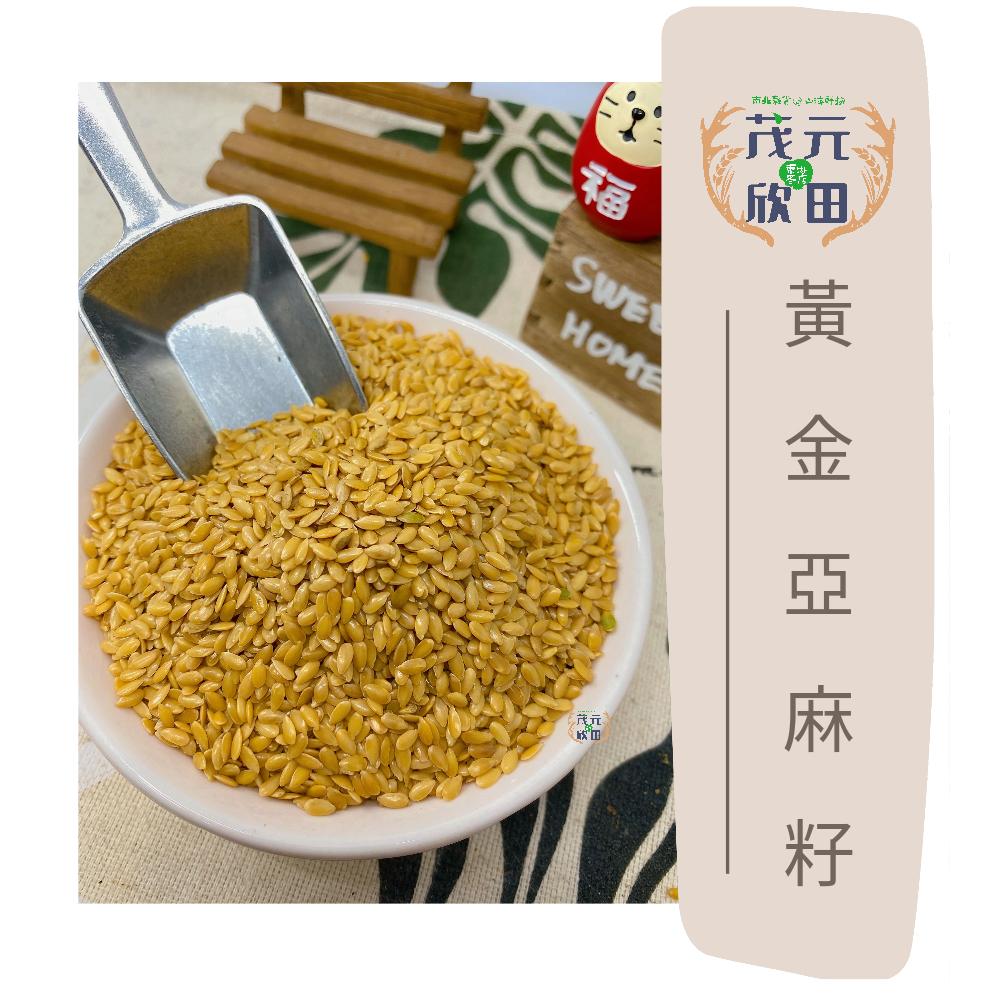 欣田食品 黃金亞麻籽仁 亞麻籽 亞麻仁 300g 600g  倉鼠零食-細節圖2